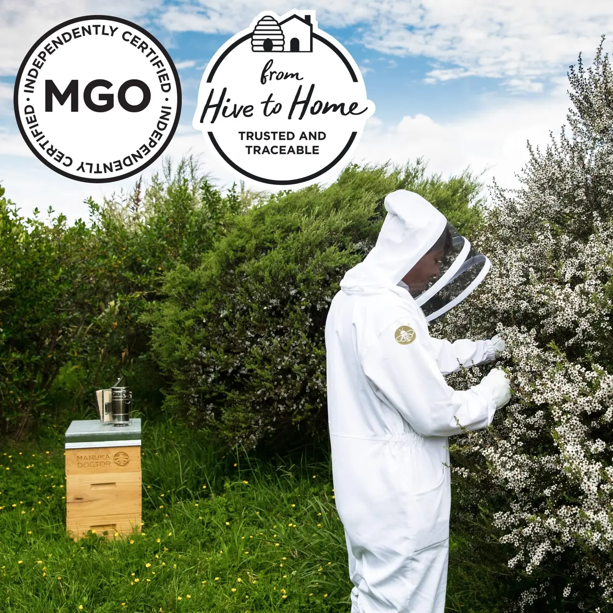 Manuka Doctor Raw Manuka Honey MGO 525+ | Traceable, 17.6 oz | Supports Immunity & Energy - view 7