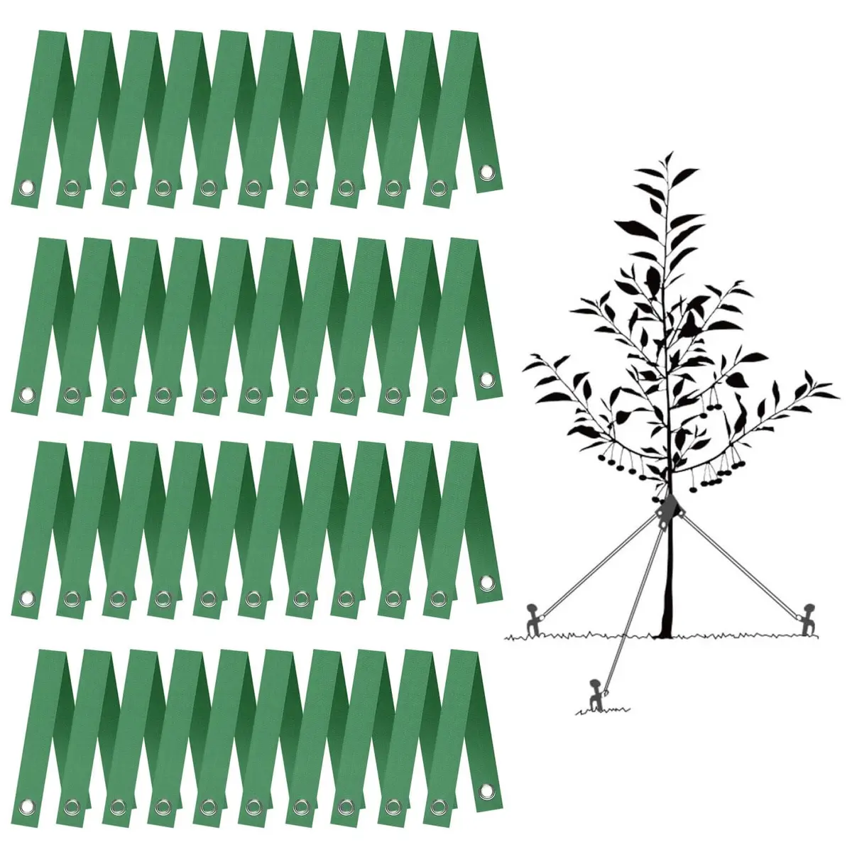 FCENDS Tree Support Straps for Staking, 40 PCS 39.6 cm (15.6 in) Green Nylon Straps | Hurricane Protection & Straightening Ties - main product image