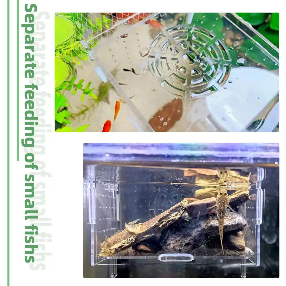 JOBEDE Acrylic Fish breeding Box 6*4*4 inch | Fish Isolation Breeder Aquarium Tank - view 3