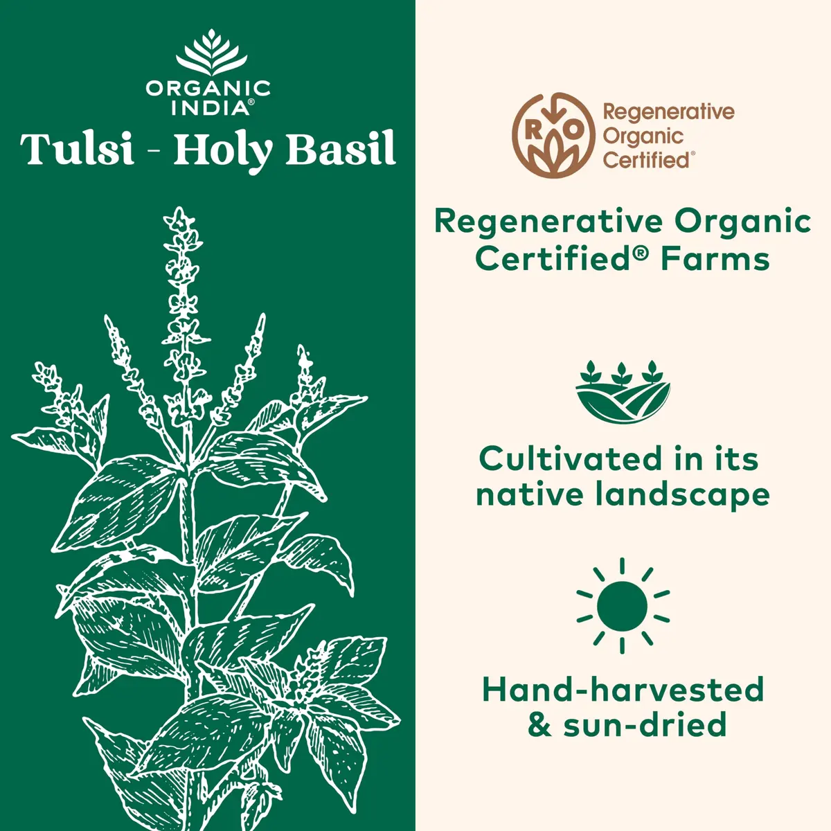 ORGANIC INDIA Tulsi Holy Basil Capsules, Vegan, 60 Capsules | Adaptogen for Calm & Immunity - view 2