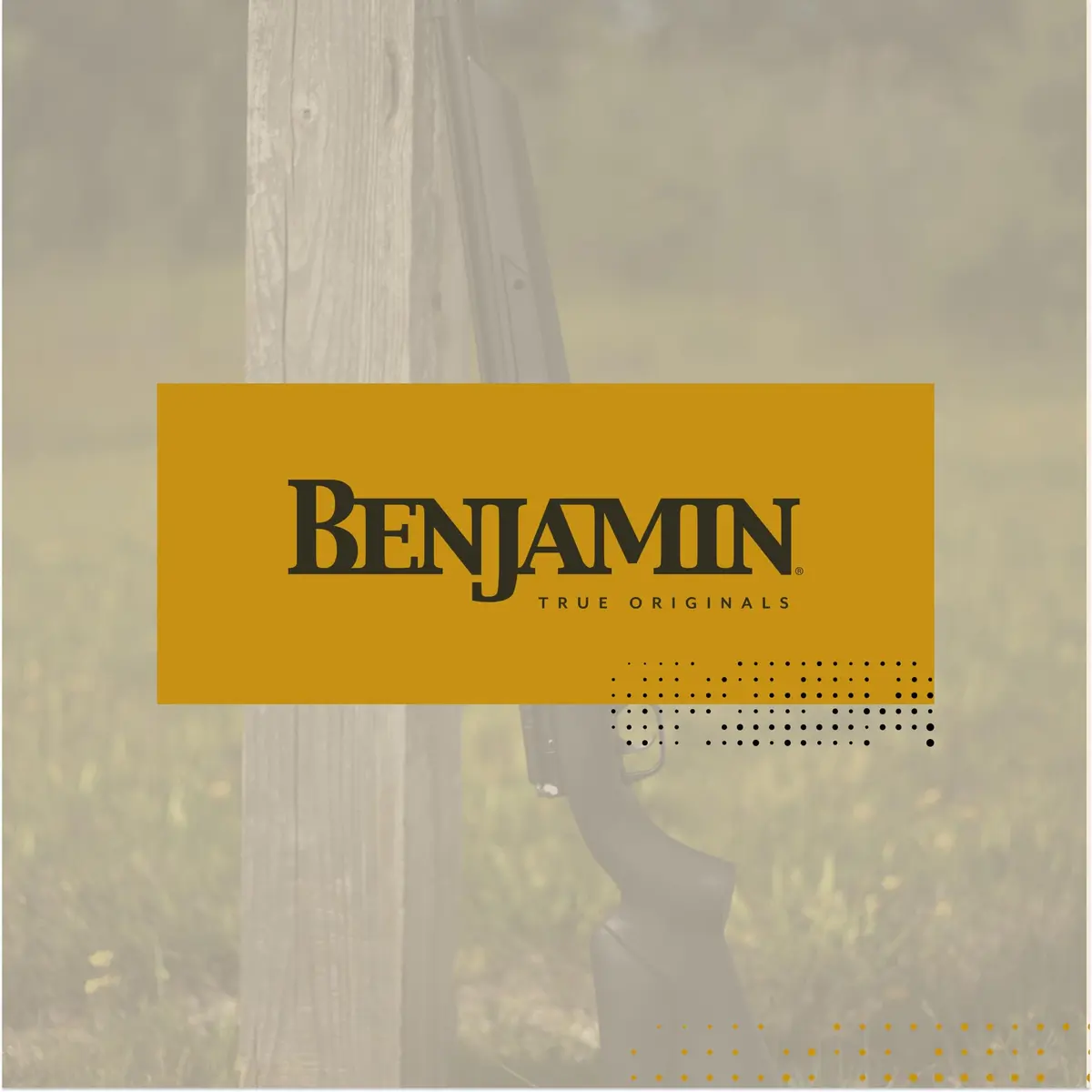 Benjamin Airbow M600 | 33.5-inch PCP Airbow with 8 Shots at 600 FPS - view 8