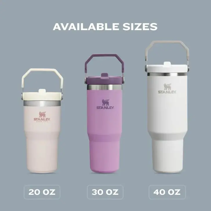 STANLEY IceFlow 2.0 Pomelo 20 oz Tumbler with Handle & Flip Straw - view 6