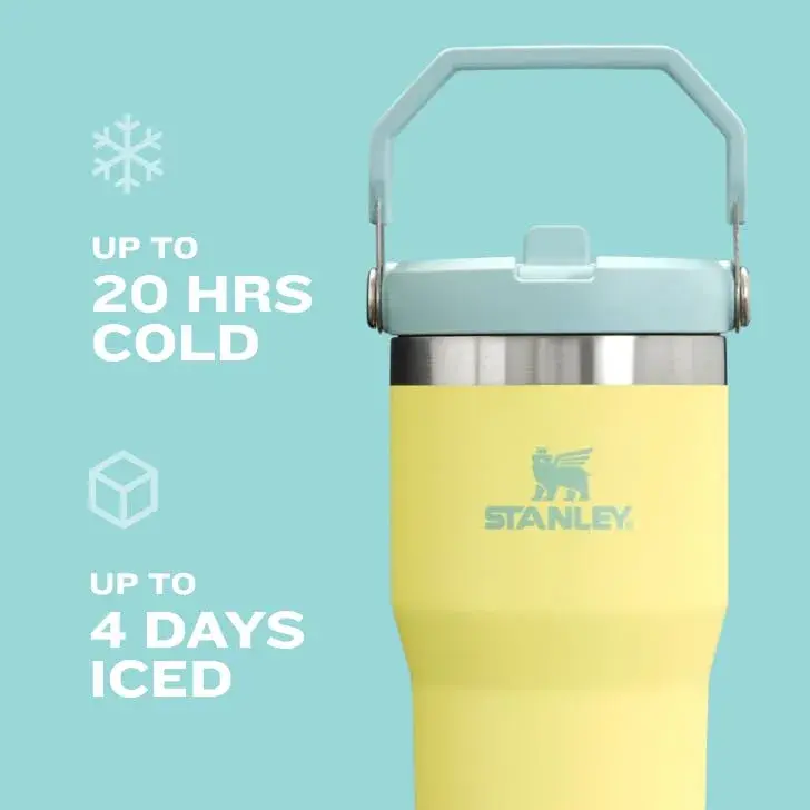STANLEY IceFlow 2.0 Flip Straw Tumbler with Handle, 20 oz, Plum | Sip Faster, Spill Less - view 4