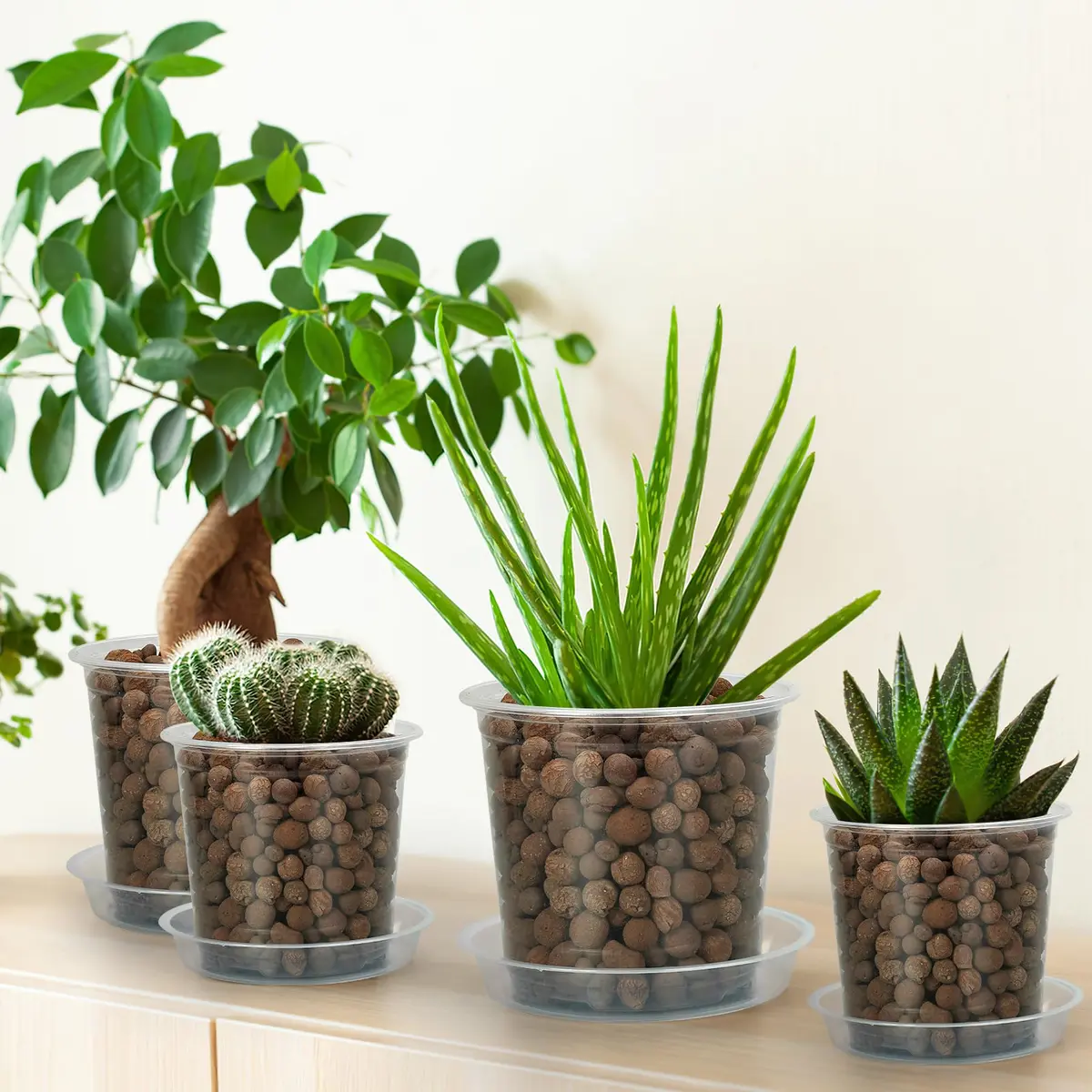 FUIJOL 6 Pack Clear Plant Saucer 4 Inch | Durable Water Catcher for Pots - view 4