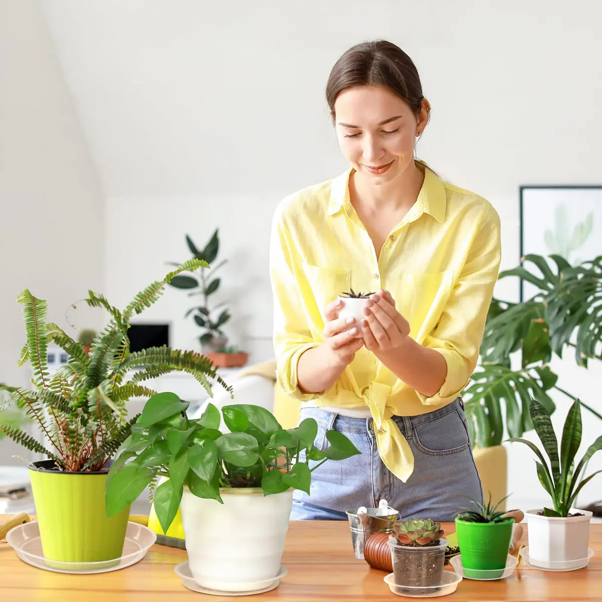 FUIJOL 6 Pack Clear Plant Saucer | Durable Water Catcher for Pots (10") - view 3