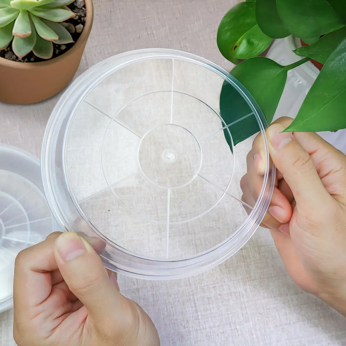 FUIJOL 6 Pack Clear Plant Saucer | Durable 8" Water Catcher for Indoor & Outdoor Pots - view 5
