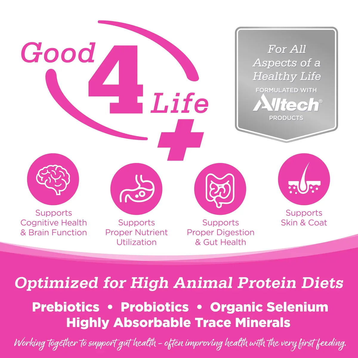 NutriSource Element Series Scenic Meadow Grain Free Dry Cat Food | High Protein, All Life Stages, 4 lb - view 2