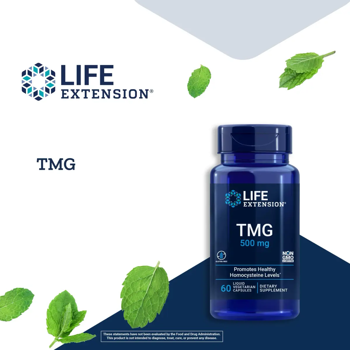 Life Extension TMG 500 mg Liquid Vegetarian Capsules (120 Count) | Supports Healthy Homocysteine Levels - view 4