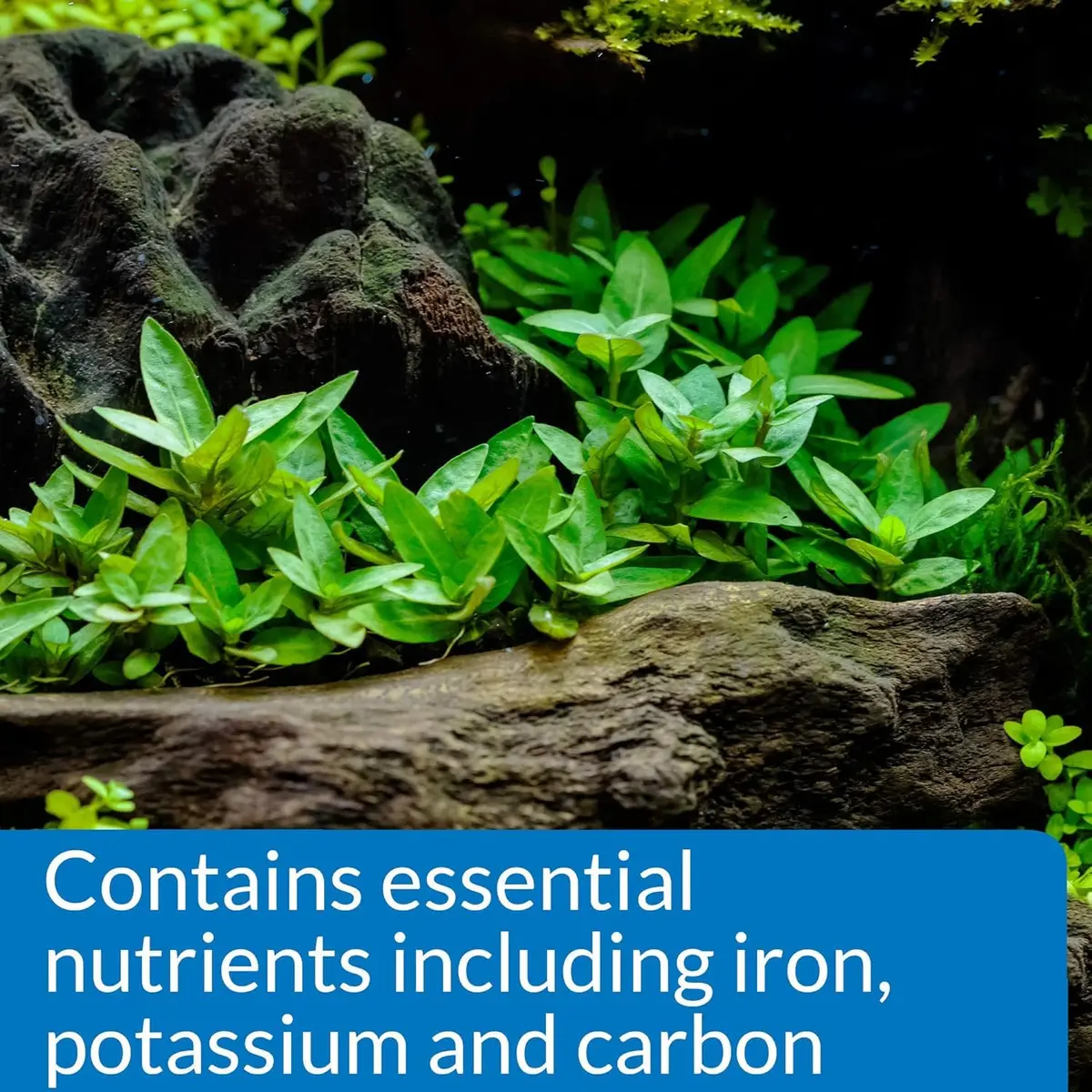 API Root Tabs Freshwater Aquarium Plant Fertilizer 0.4-Ounce 10-Count Box (Pack of 2) | Promotes Strong Root Development - view 3