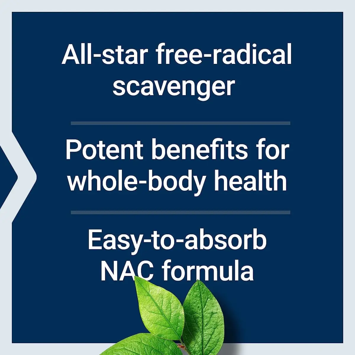 Life Extension N-Acetyl-L-Cysteine (NAC) 600 mg & DHEA 25 mg | Immune, Respiratory, Hormone Balance Support | 60 Capsules - view 4