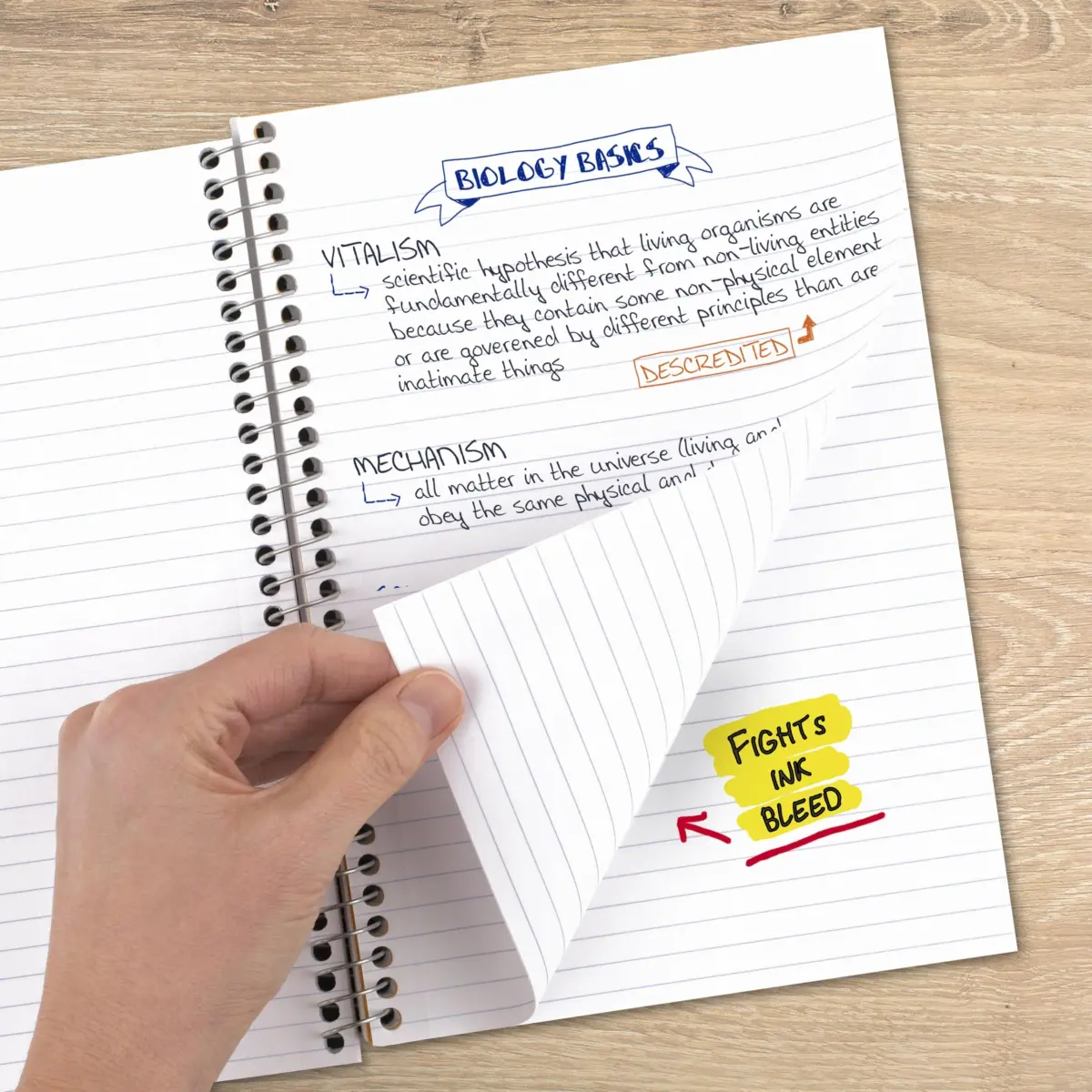 Five Star Spiral Notebook 2 Subject 6" x 9-1/2" 80 Sheets Seaglass Green | College Ruled Paper Fights Ink Bleed - view 3