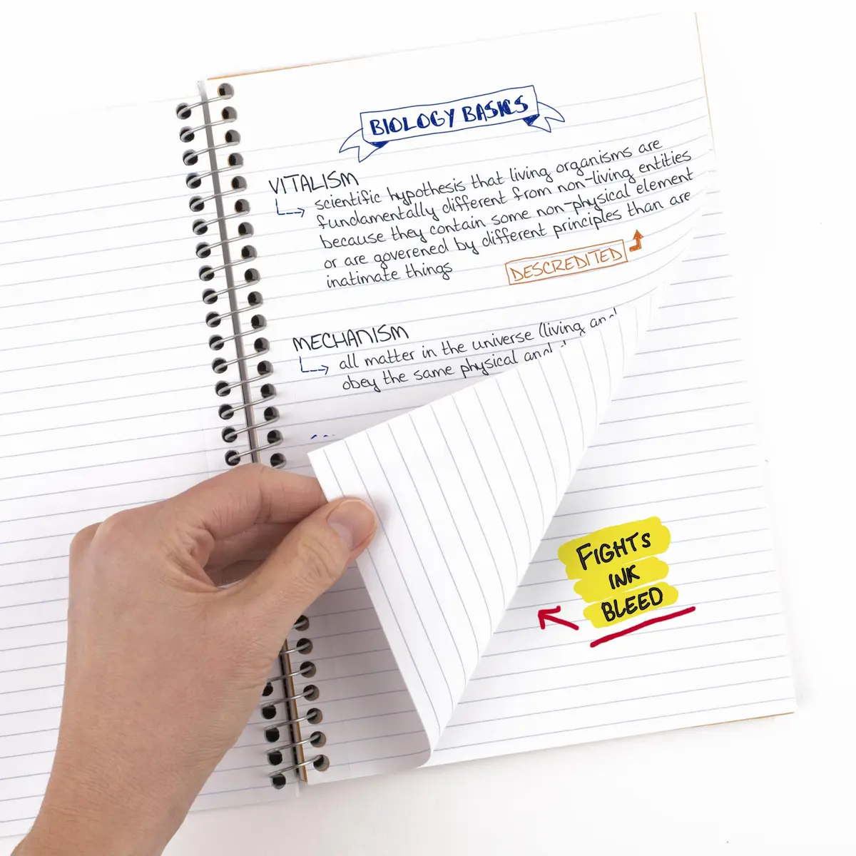 Five Star Spiral Notebook, 2 Subject, College Ruled Paper, 6" x 9-1/2" (15.2cm x 24.1cm), 80 Sheets | SFI Certified Paper - view 3
