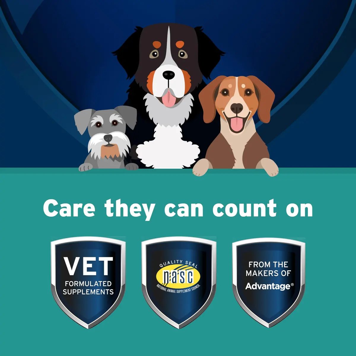 Pet Protect Body Comfort+ Supplement for Dogs, Chicken Flavor, 120ct | Supports Inflammation & Muscle Health - view 3