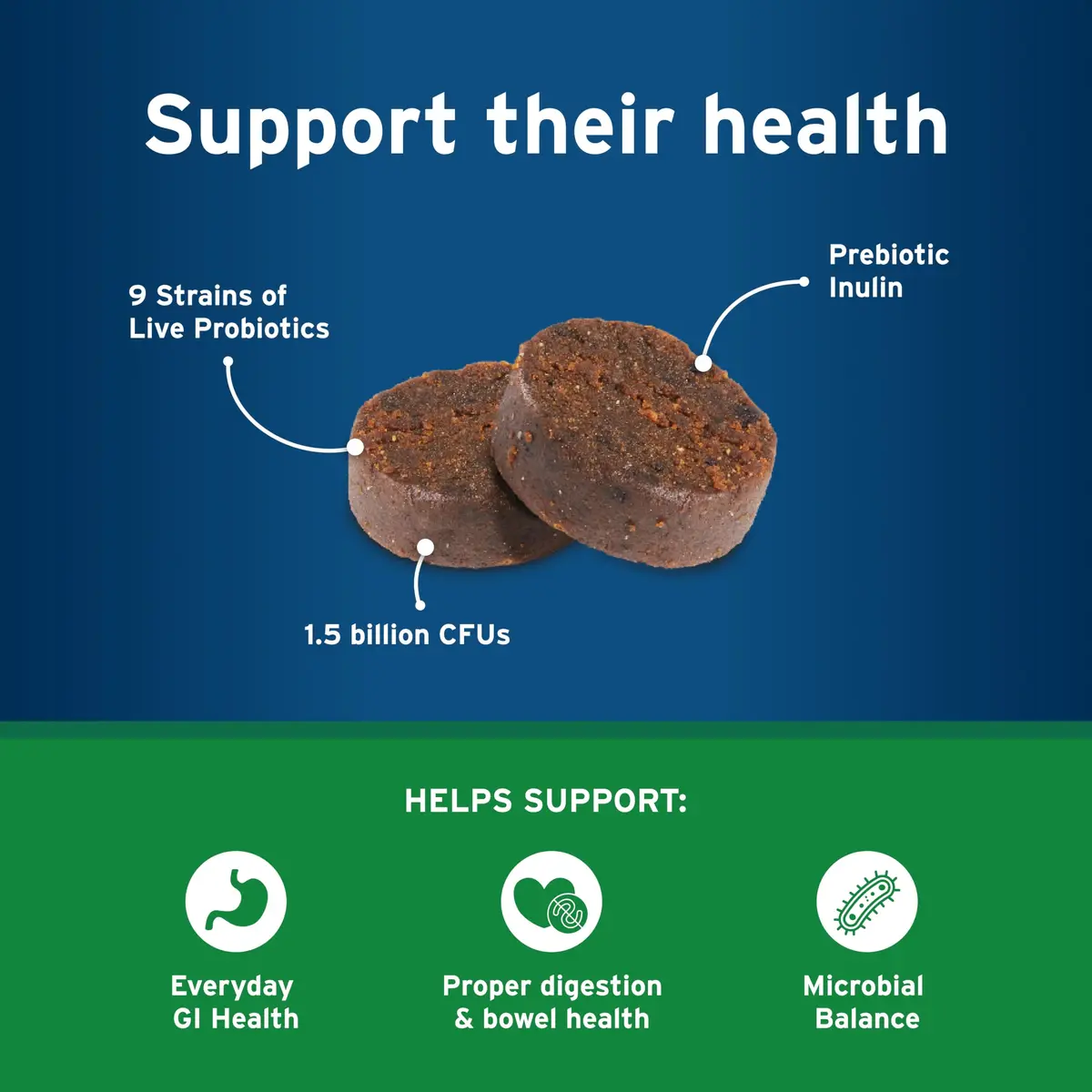 Pet Protect Digestive Health Supplement for Dogs, Chicken Flavor, 60ct | Supports GI & Microbial Balance - view 4