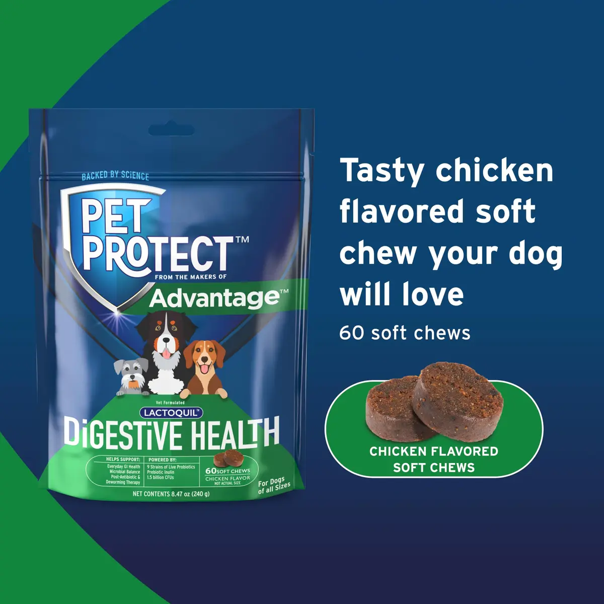 Pet Protect Digestive Health Supplement for Dogs, Chicken Flavor, 60ct | Supports GI & Microbial Balance - view 5