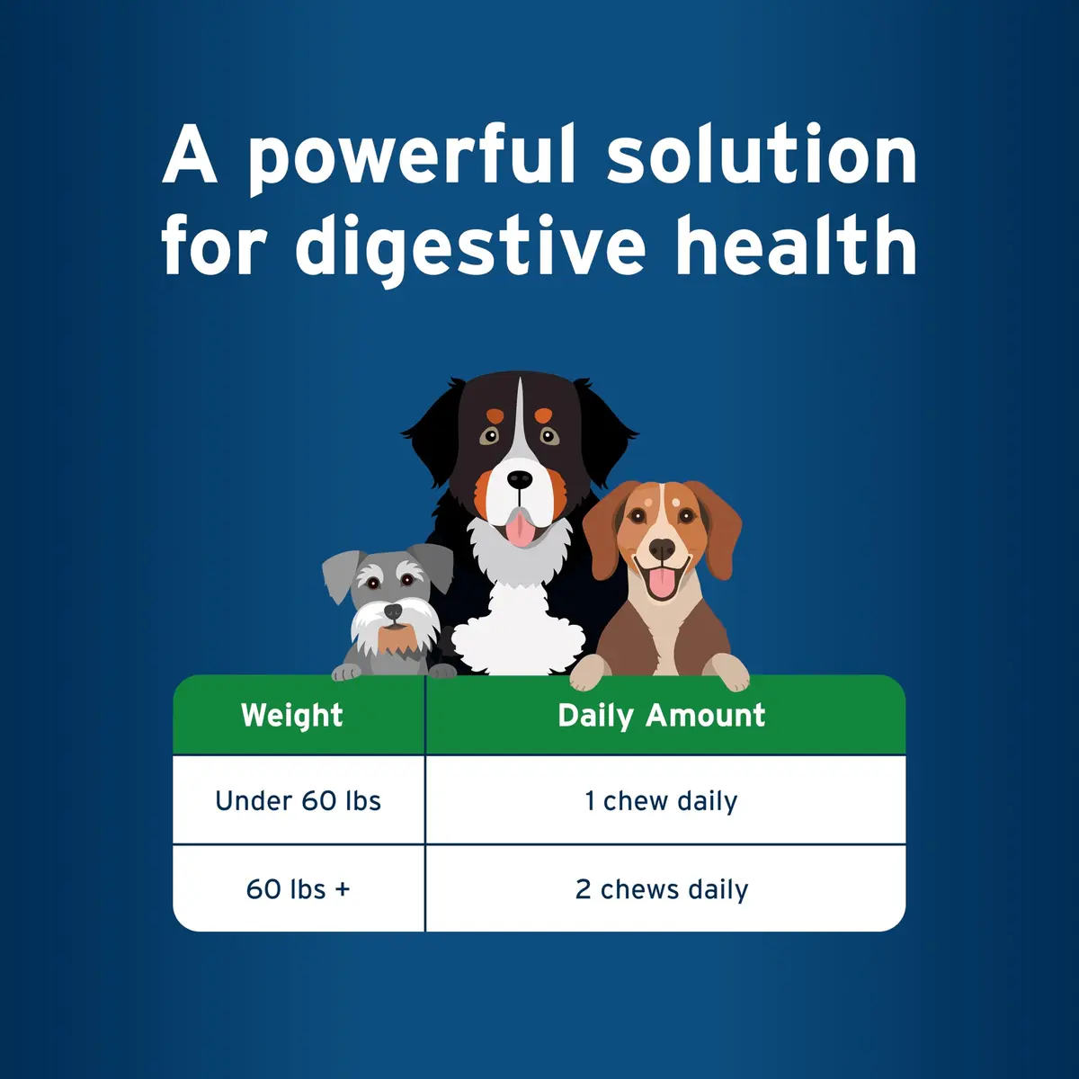 Pet Protect Digestive Health Supplement for Dogs, Chicken Flavor, 60ct | Supports GI & Microbial Balance - view 6