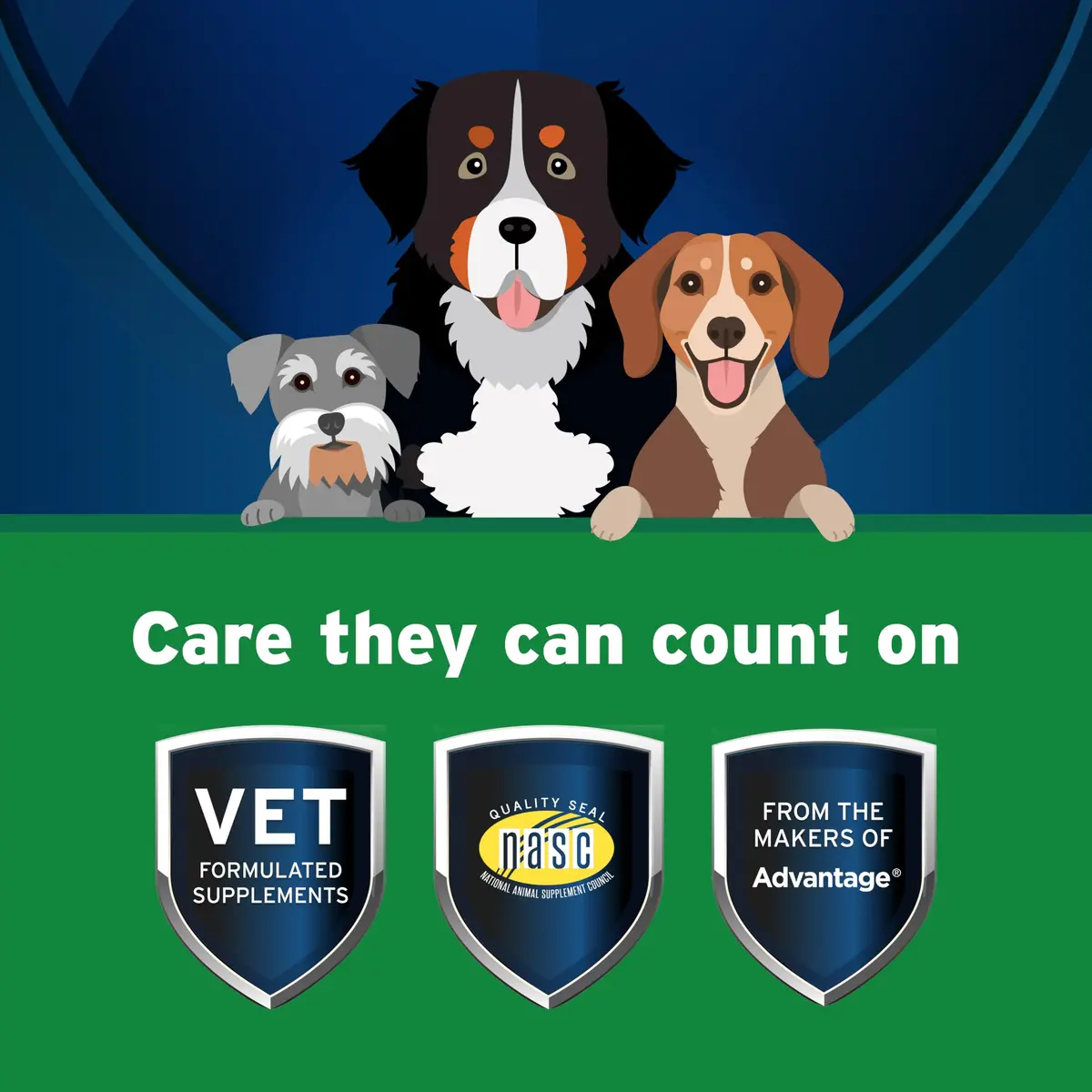 Pet Protect Digestive Health Supplement for Dogs, Chicken Flavor, 60ct | Supports GI & Microbial Balance - view 3