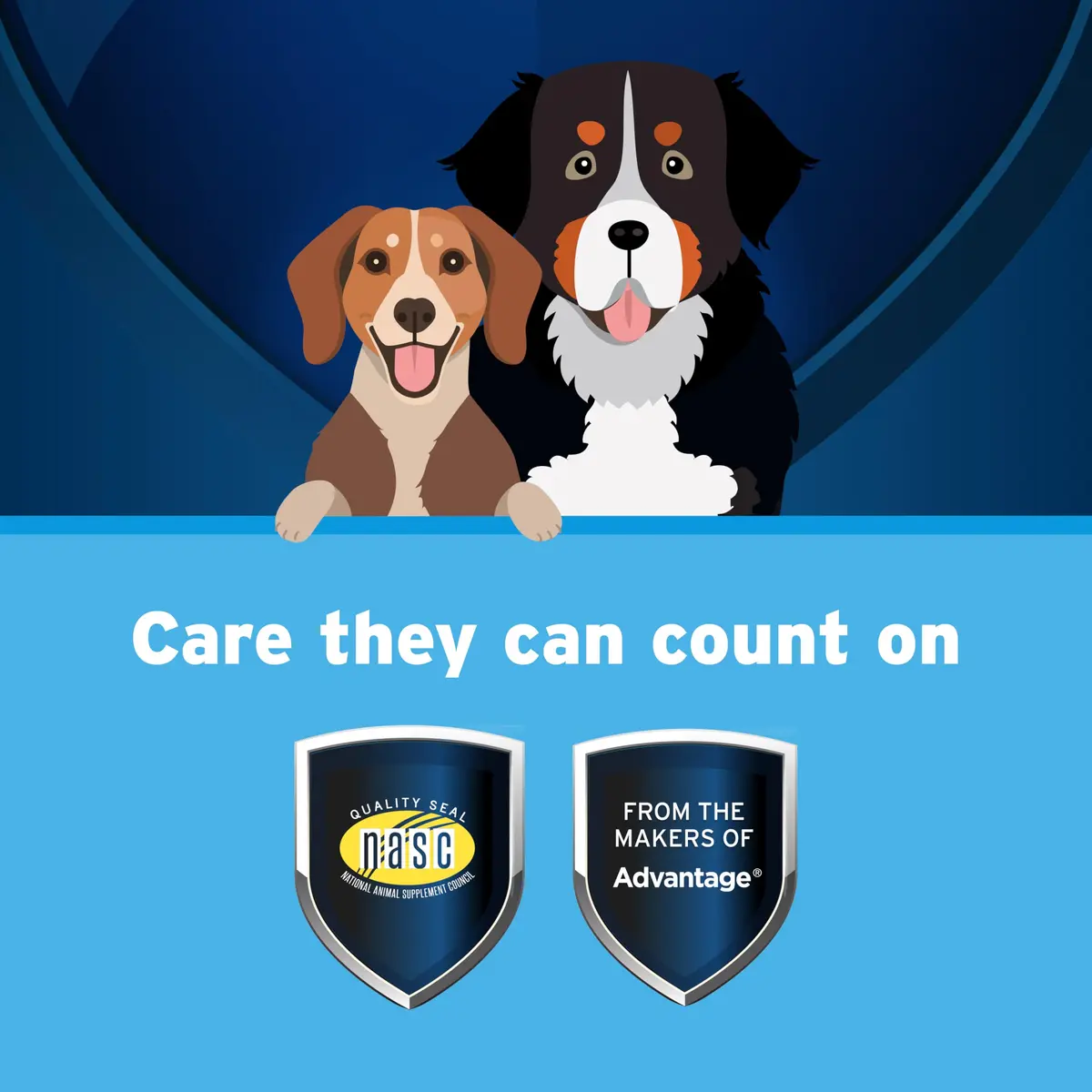 Pet Protect Omega-3 Fish Oil Supplement for Medium & Large Dogs | Supports Joint, Heart & Immune Health - view 3