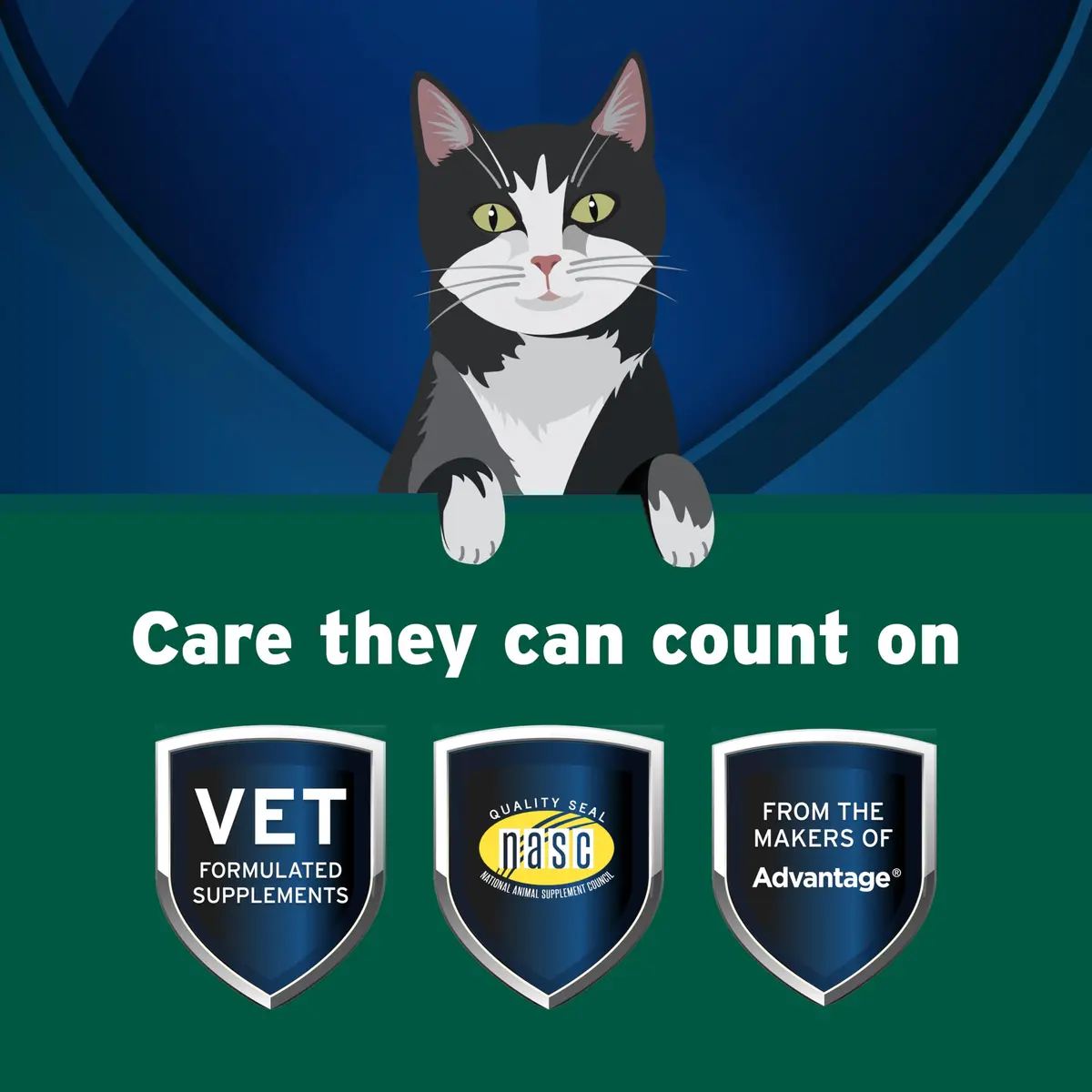Pet Protect Cat Probiotic Balance+ Oral Gel, Chicken & Fish Flavor, 15g | Supports Gut Health & Digestion - view 3
