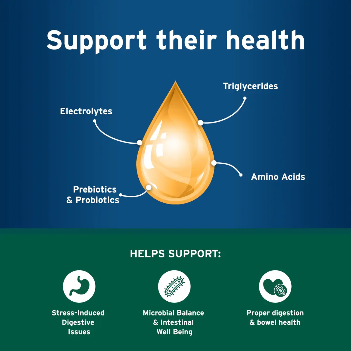 Pet Protect Cat Probiotic Balance+ Oral Gel, Chicken & Fish Flavor, 15g | Supports Gut Health & Digestion - view 4