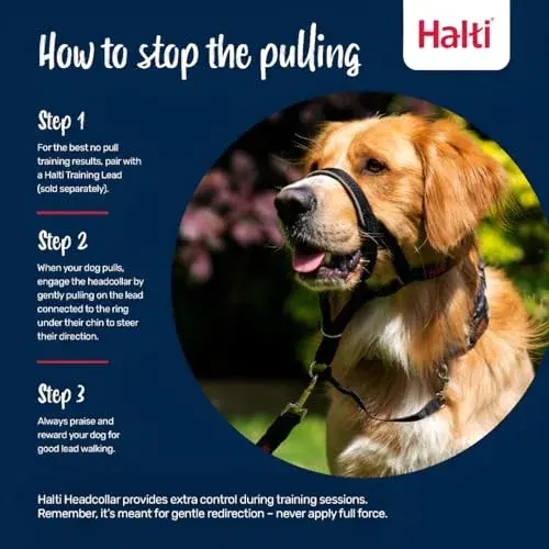 Halti Headcollar Size 2 Forest Green | Gentle Dog Training Collar for Medium Dogs, Stops Pulling - view 4