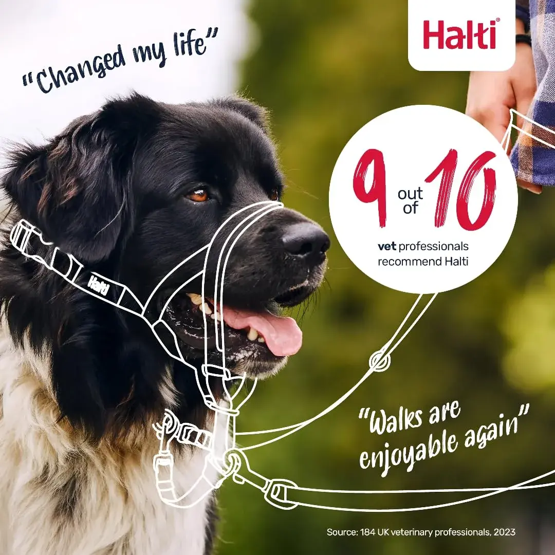 Halti Headcollar Size 2 Forest Green | Gentle Dog Training Collar for Medium Dogs, Stops Pulling - view 5