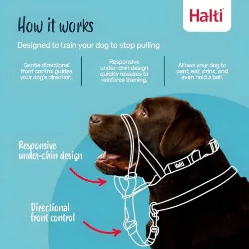 Halti Headcollar Size 2 Forest Green | Gentle Dog Training Collar for Medium Dogs, Stops Pulling - view 2