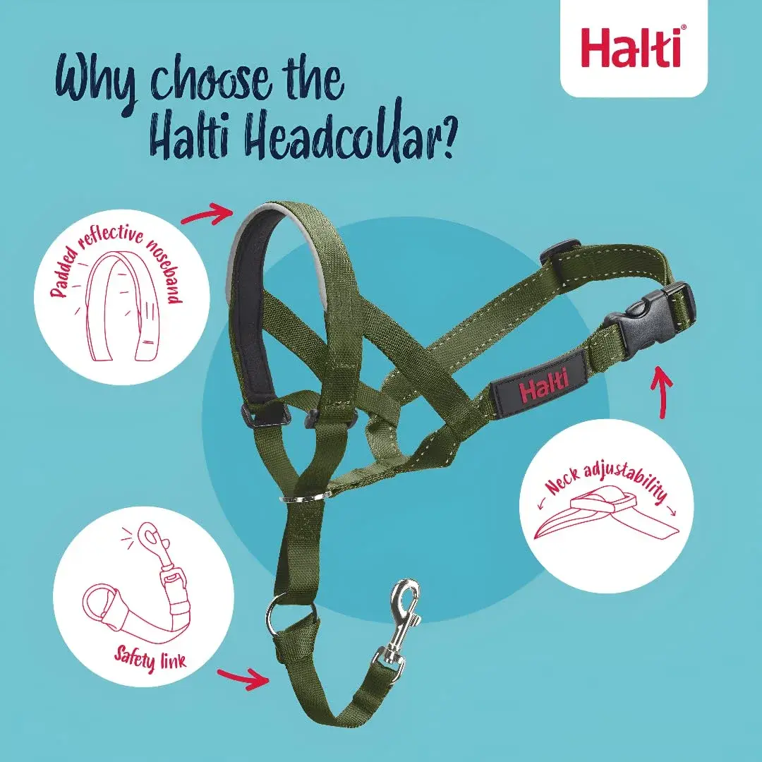 Halti Headcollar Size 2 Forest Green | Gentle Dog Training Collar for Medium Dogs, Stops Pulling - view 3