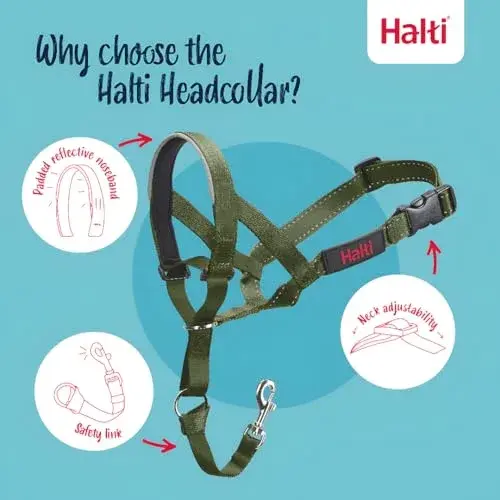 Halti Headcollar Size 2 Forest Green | Gentle Dog Training Collar for Medium Dogs, Stops Pulling - view 3