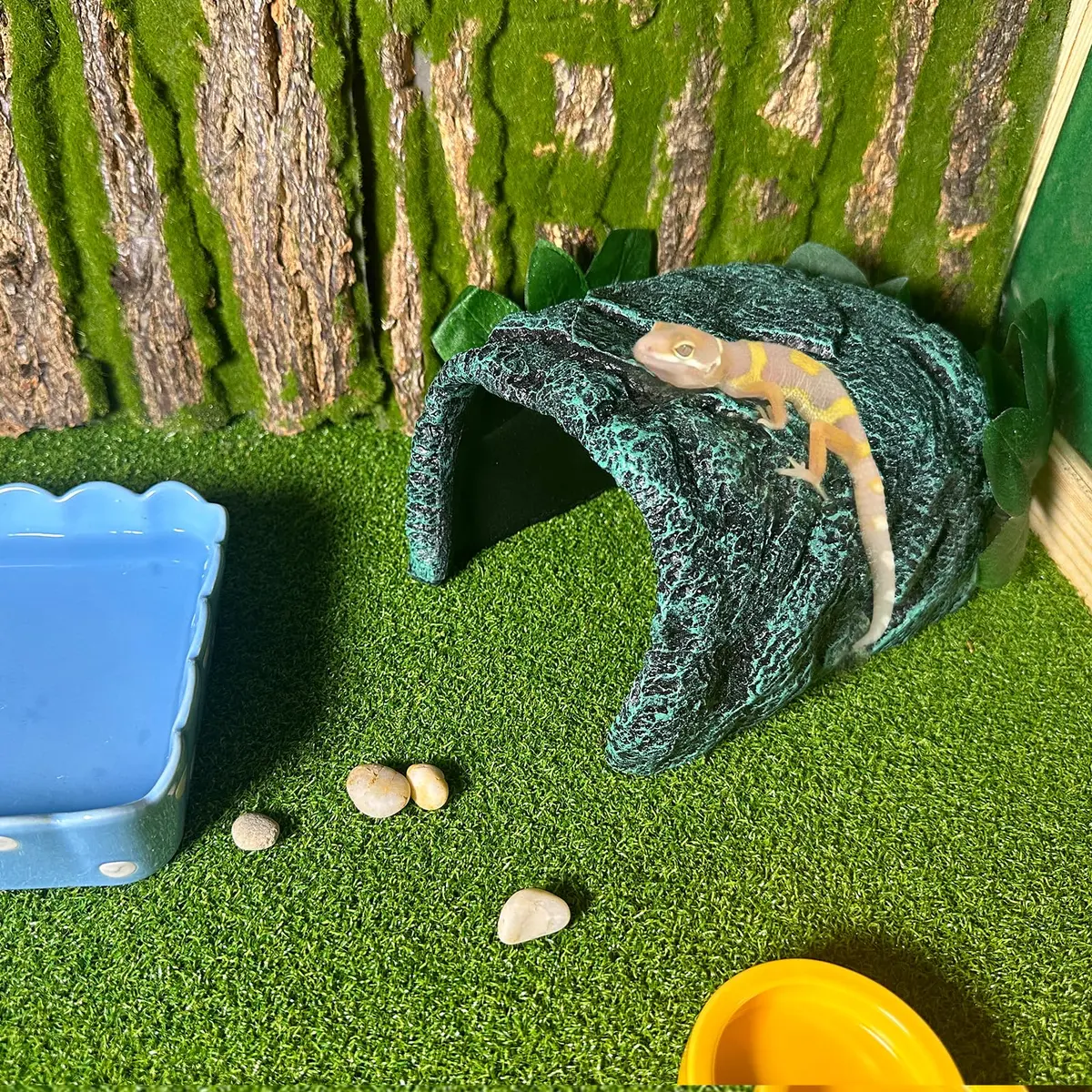 Tfwadmx Reptile Rock Hide Cave Large | Realistic Rock Texture for Small Reptiles & Pocket Pets - view 6