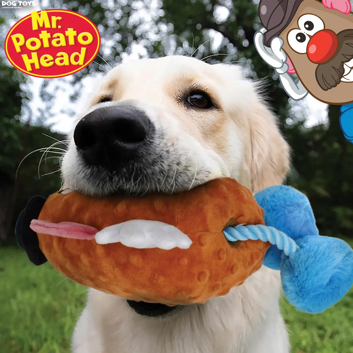 Hasbro 11in Dog Toy Squeak and Crinkle Mr. Potato Head | Plush Interactive Dog Toy, Mixed Colors - view 2
