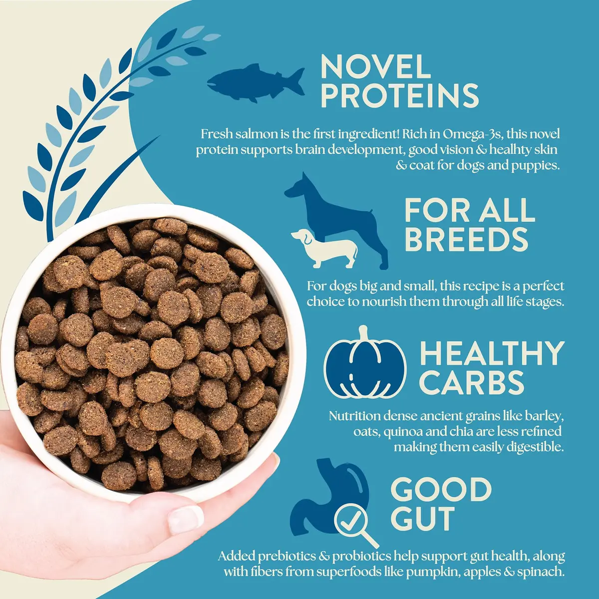 Earthborn Holistic Unrefined with Grains Smoked Salmon Dry Dog Food 25 lb | Ancient Grains & Superfoods for All Breeds - view 6