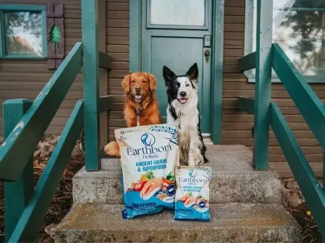 Earthborn Holistic Unrefined with Grains Smoked Salmon Dry Dog Food 25 lb | Ancient Grains & Superfoods for All Breeds - view 2
