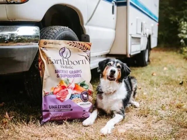 Earthborn Holistic Unrefined with Grains Roasted Lamb Dry Dog Food 11.34kg (25 lb) | Supports Sensitive Stomachs - view 3