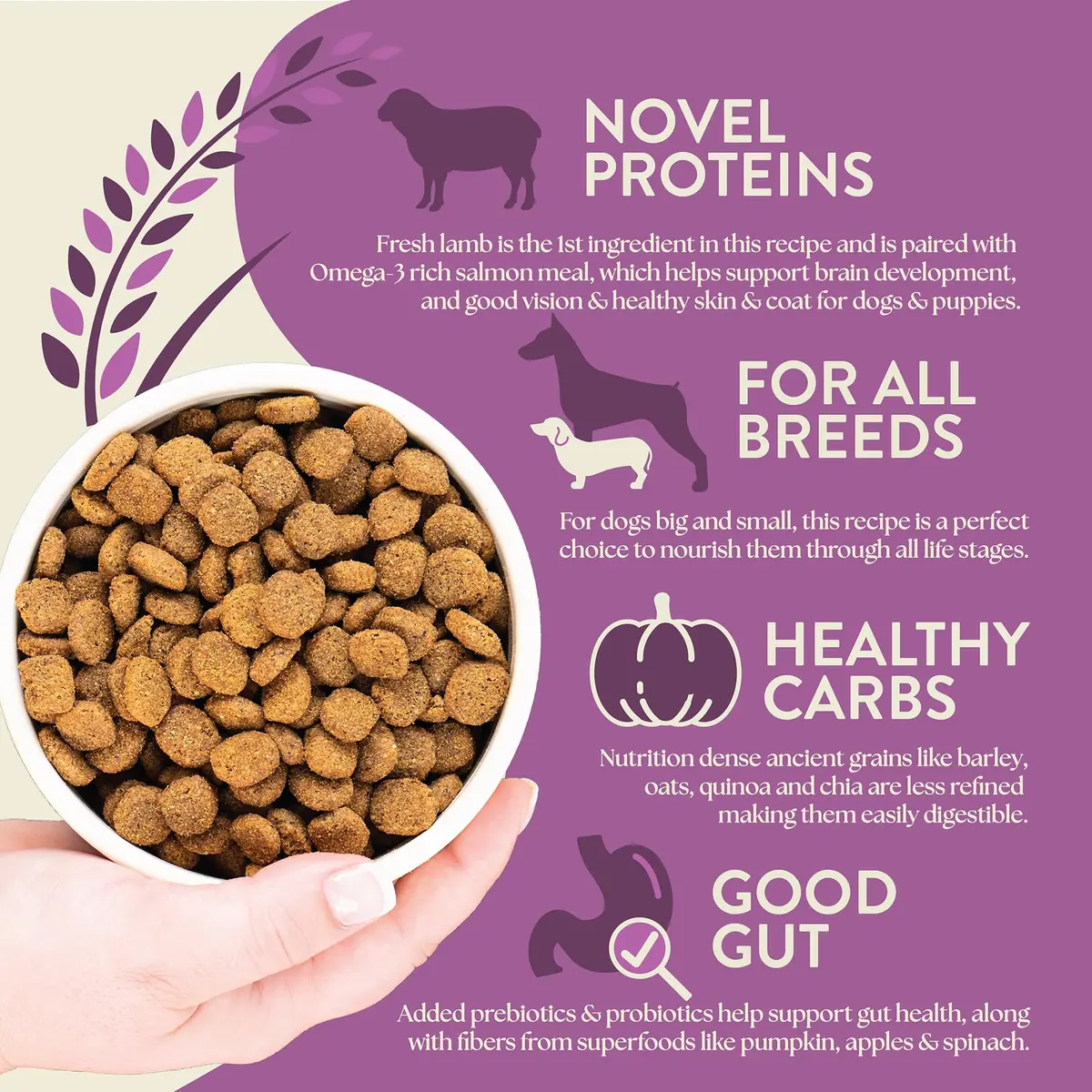 Earthborn Holistic Unrefined with Grains Roasted Lamb Dry Dog Food 11.34kg (25 lb) | Supports Sensitive Stomachs - view 5