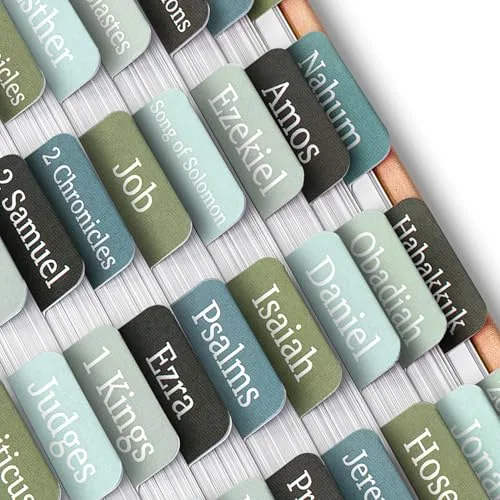 Mr. Pen Bible Tabs Frozen Lake Theme, 75 Tabs, Large Print Bible Index Tabs for Study Bible - main product image