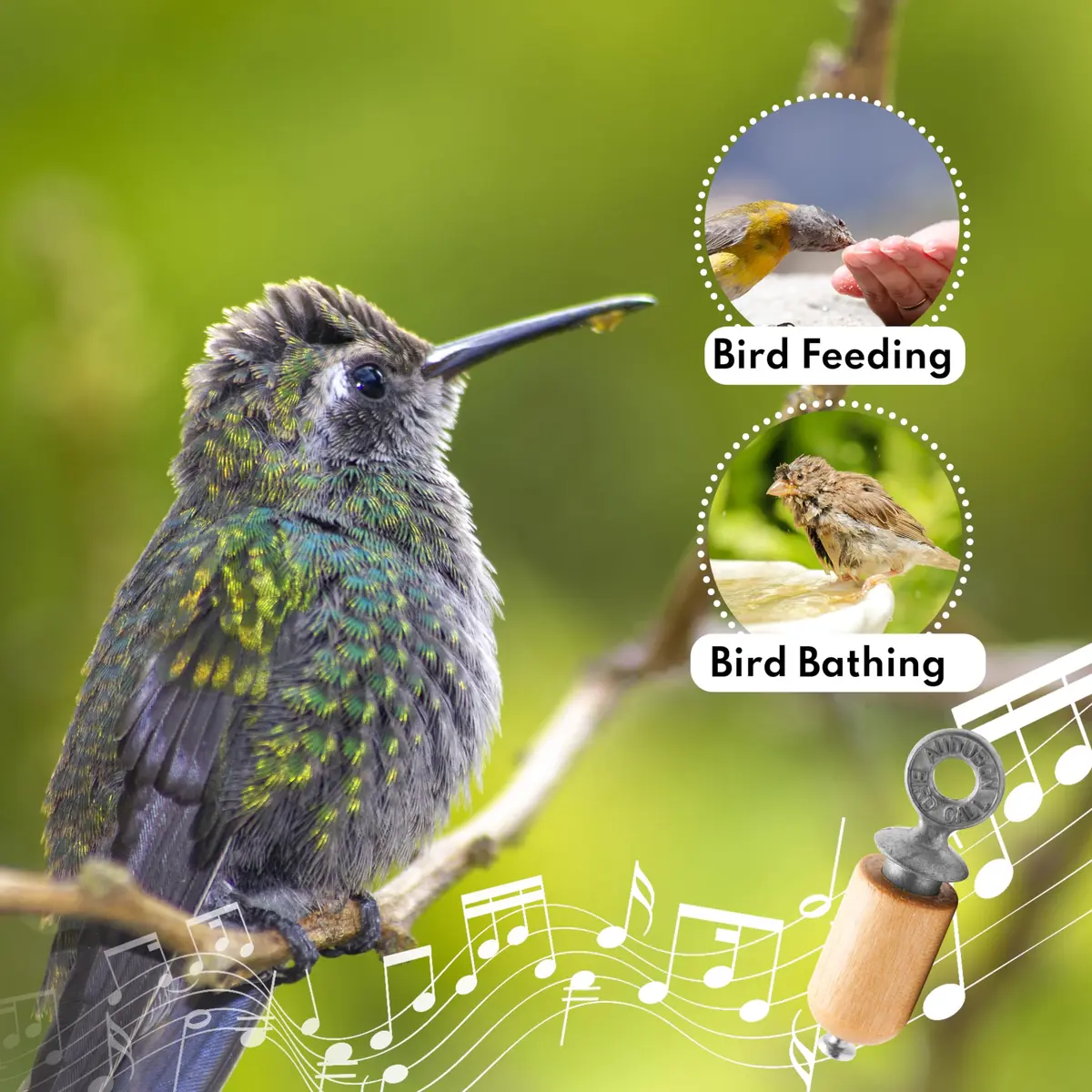 Audubon Bird Call - Natural Gift Pack | Authentic USA Import for Bird Watching - view 3