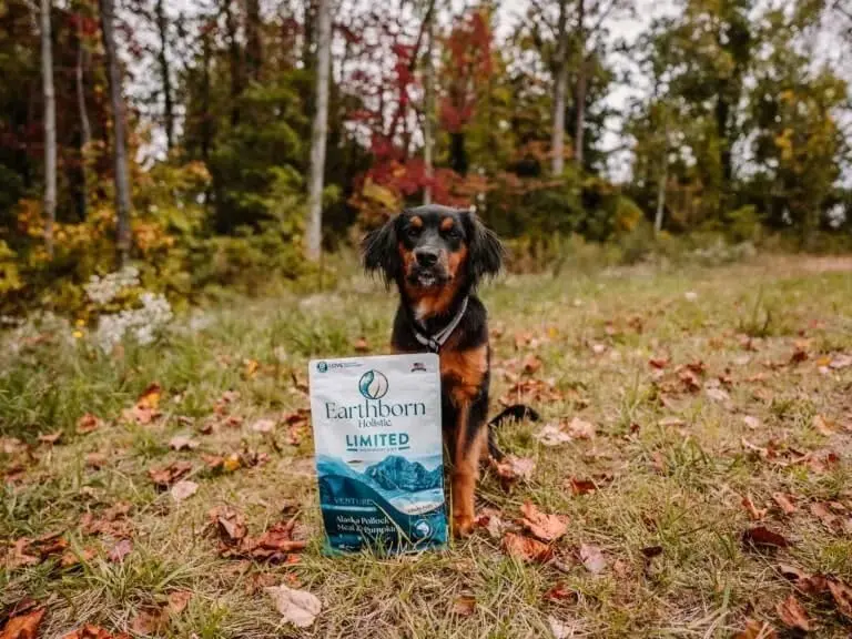 Earthborn Holistic Venture LID Pollock & Pumpkin Dry Dog Food 25 lb Bag | Limited Ingredient, Grain-Free, All Life Stages - view 2