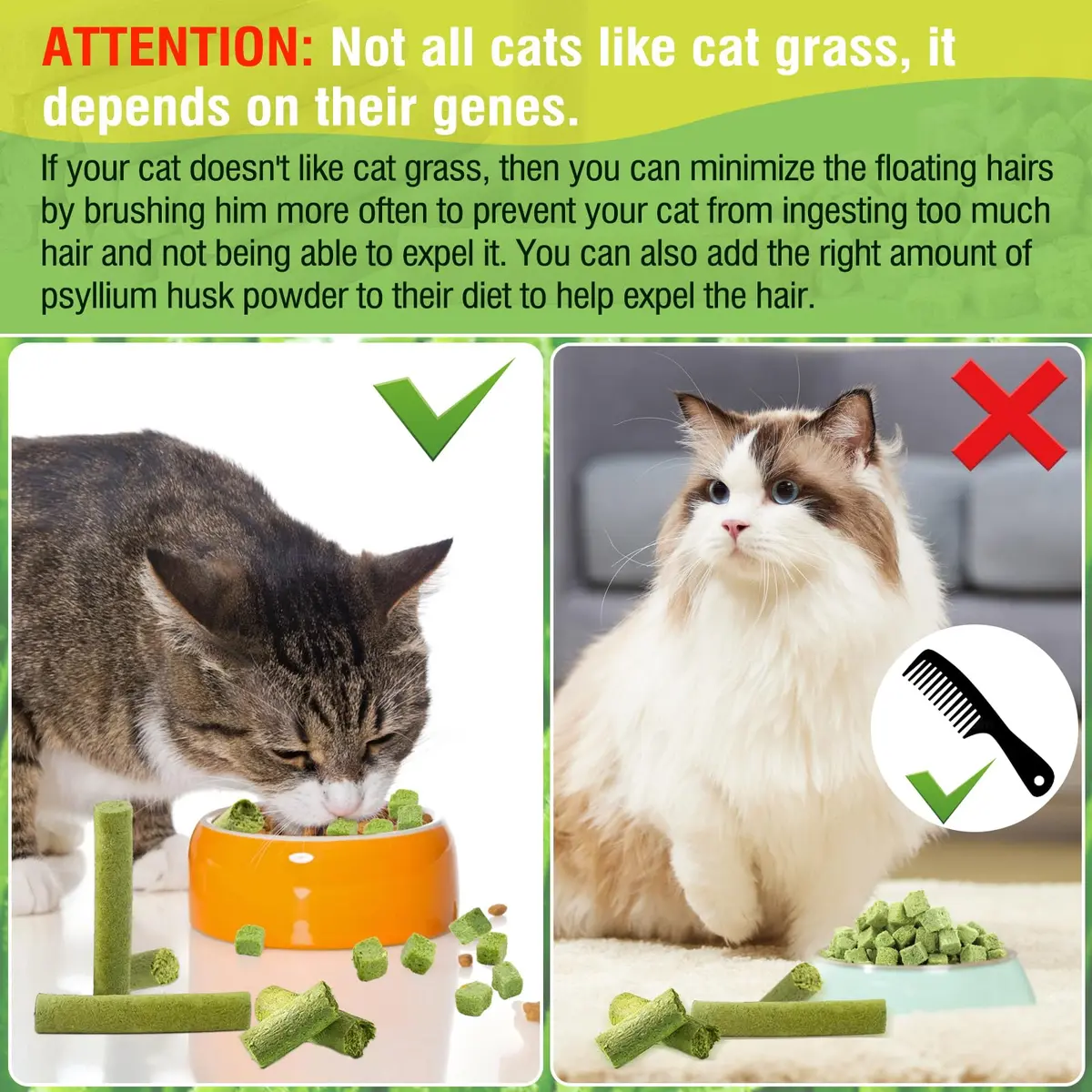 HavenJanny Cat Grass Teething Stick with Chicken 50g (1.76 oz) | Hairball Control & Dental Health - view 6