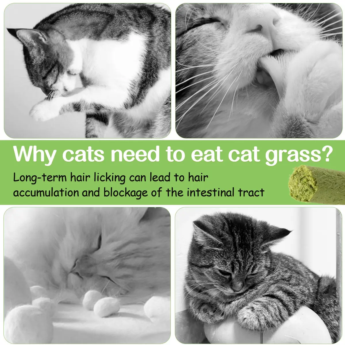 HavenJanny Cat Grass Teething Stick with Chicken 50g (1.76 oz) | Hairball Control & Dental Health - view 3