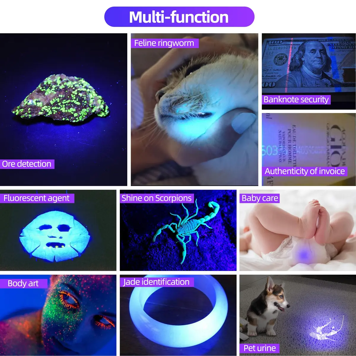 DARKBEAM UV Flashlight 365nm Black Light Woods Lamp | Portable Pet Urine & Currency Detector - view 8