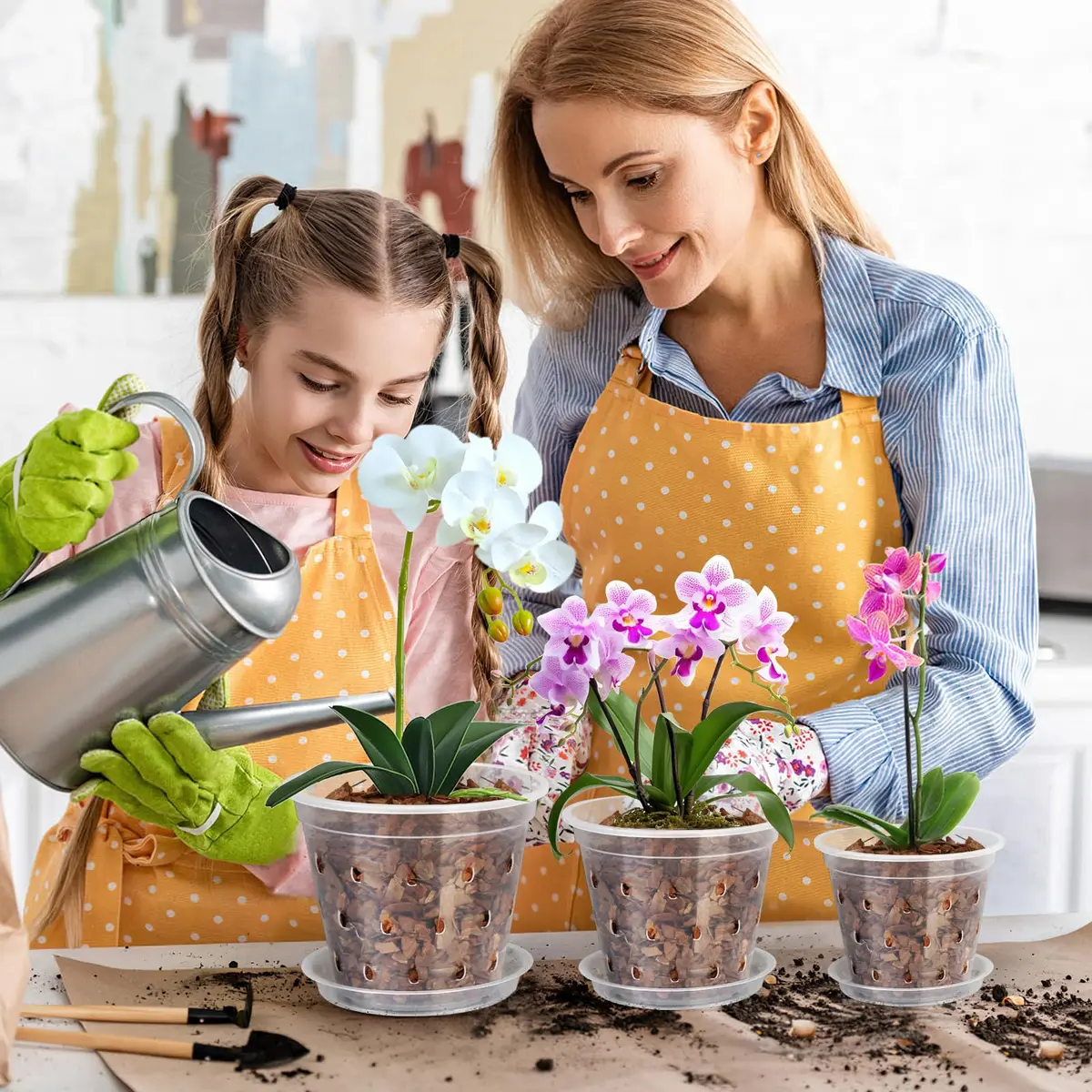 FUIJOL Orchid Pot 4 Inch Clear | Breathable Plastic Planter with Drainage - view 6