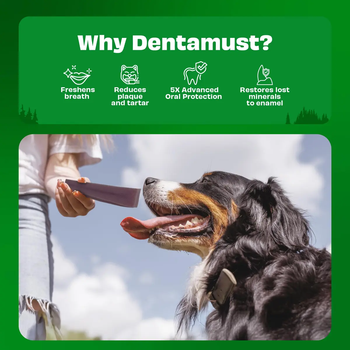 Pawfect Himalayan Cheese Dental Chew with Superfoods for Dogs | Long Lasting, Grain-Free, High Protein (420g/14.81oz) - view 5