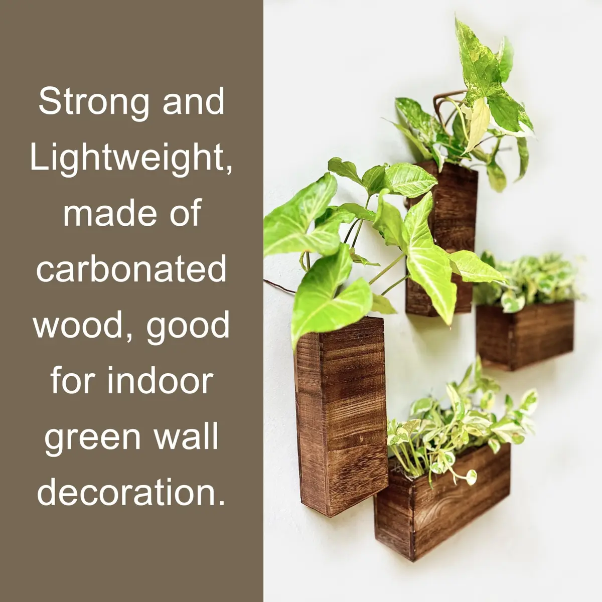 LáLáGreen Wooden Wall Planters (4 Pack) Hanging Wood Planter Box for Plants - view 5