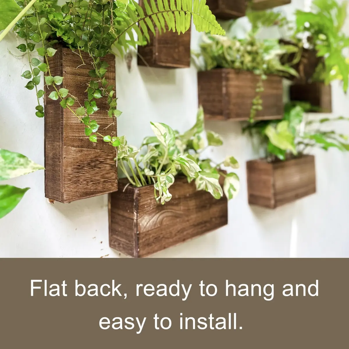 LáLáGreen Wooden Wall Planters (4 Pack) Hanging Wood Planter Box for Plants - view 6