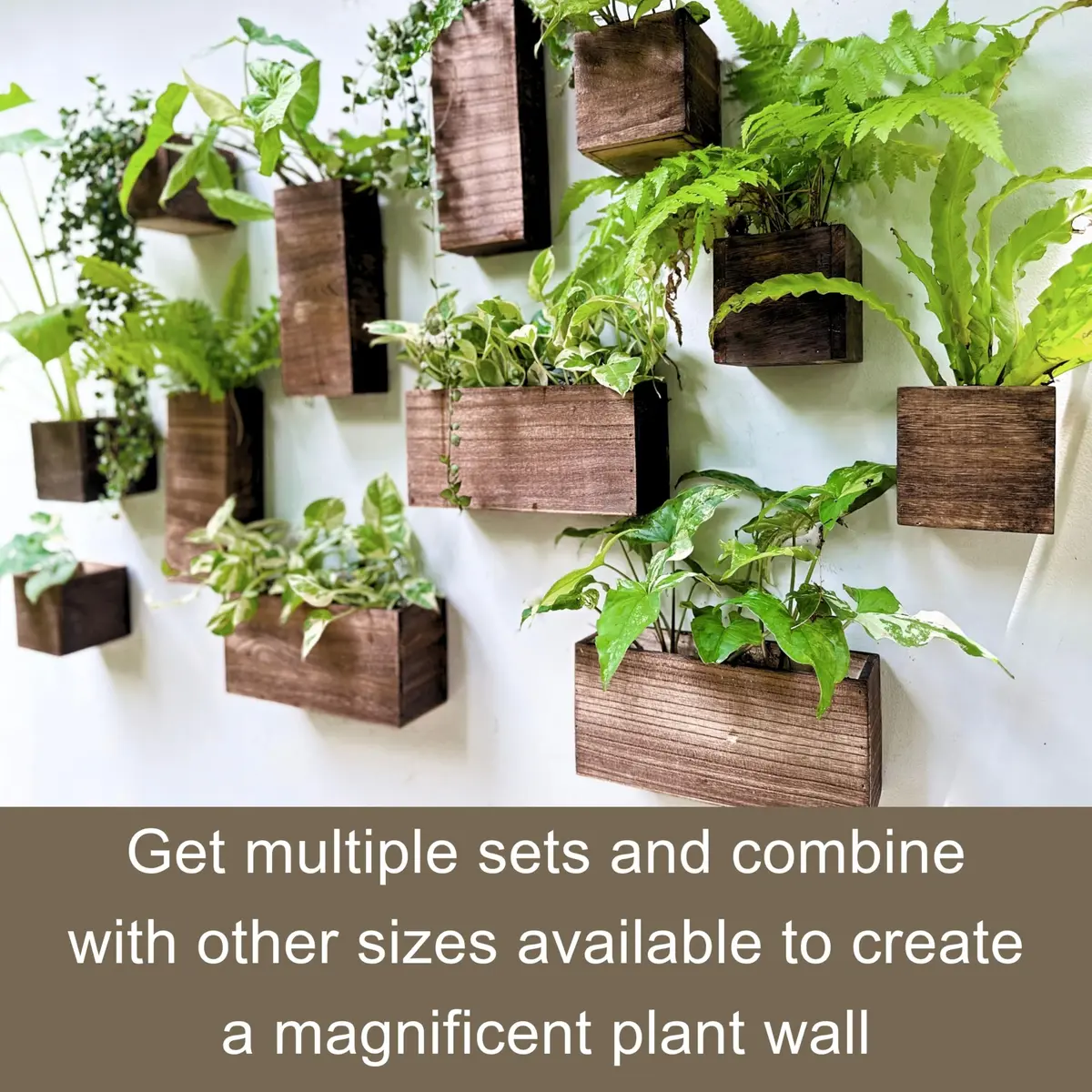 LáLáGreen Wooden Wall Planters (4 Pack) Hanging Wood Planter Box for Plants - view 3