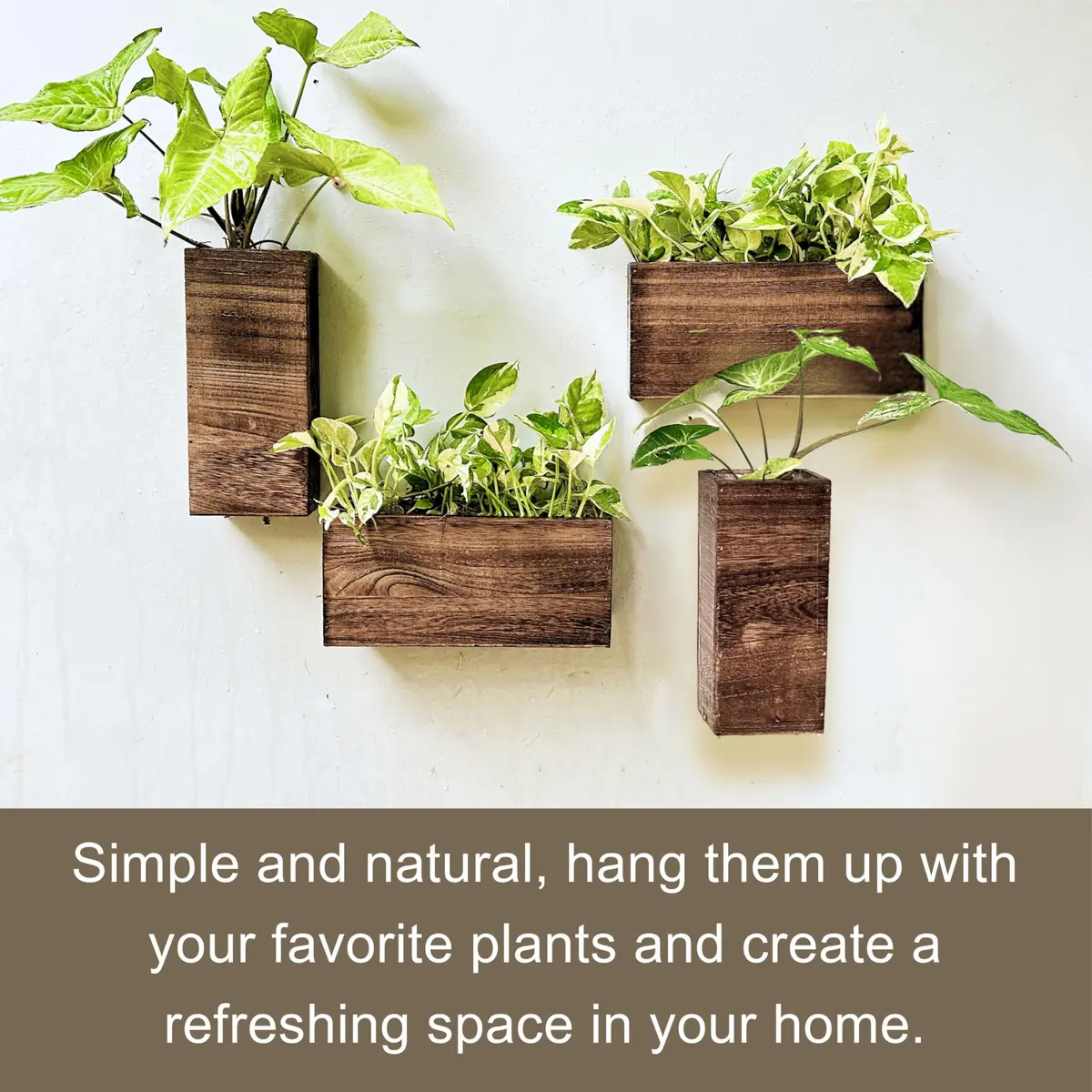LáLáGreen Wooden Wall Planters (4 Pack) Hanging Wood Planter Box for Plants - view 4
