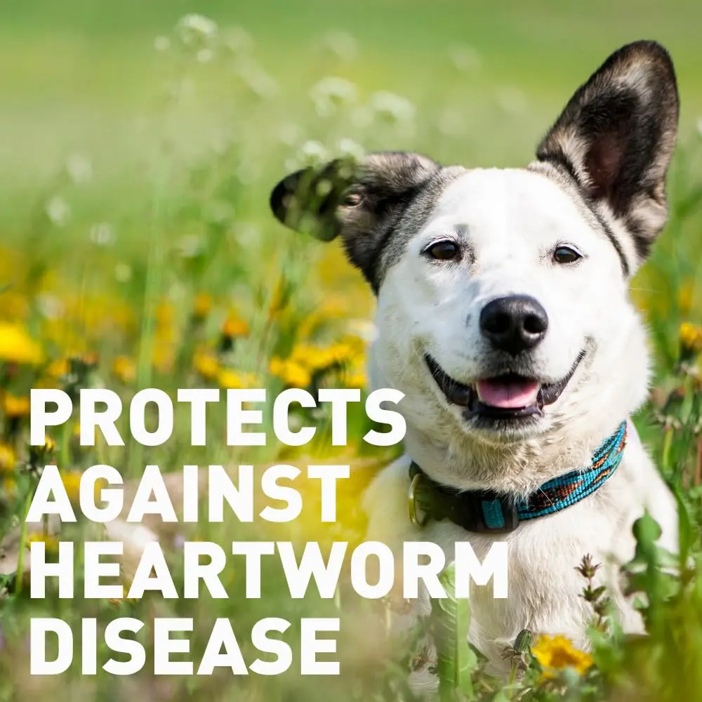 Interceptor for Dogs 2-10 lbs | Heartworm & Worms Prevention, 6-Month Supply - view 6