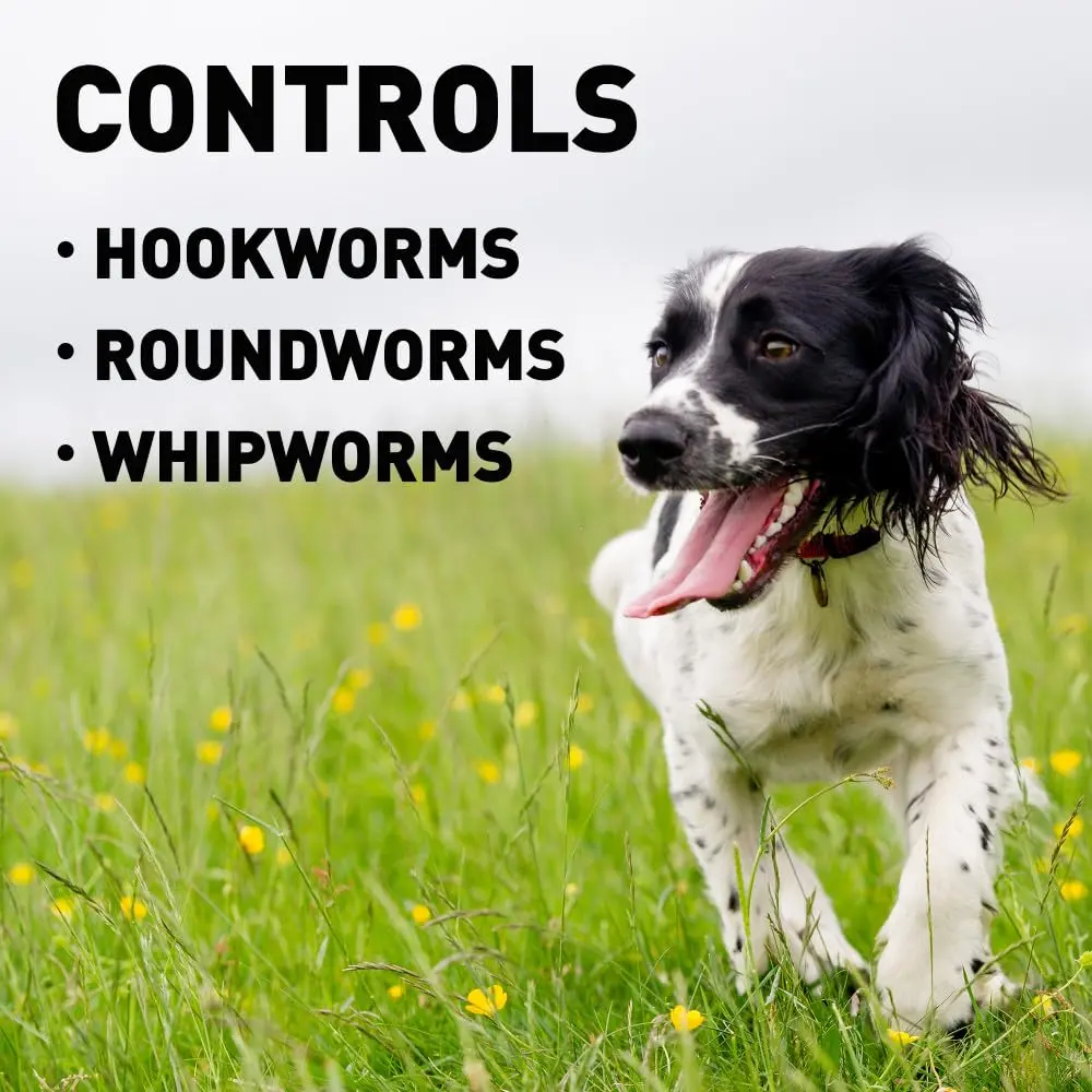 Interceptor for Dogs and Cats 51-100 lbs / 12.1-25 lbs | Monthly Heartworm & Worm Prevention - view 5