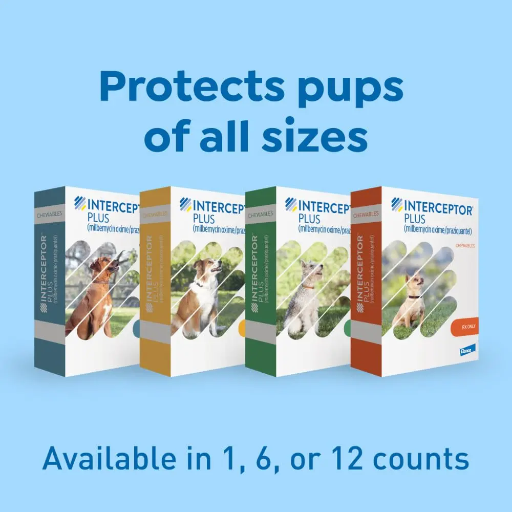 Interceptor Plus for Dogs 50.1-100 lbs. | Monthly Heartworm & Worm Protection - view 8